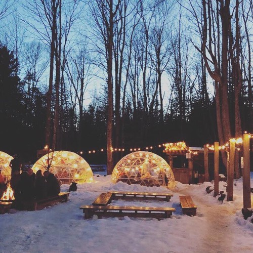 Igloos Michigan Winter Thyme Love