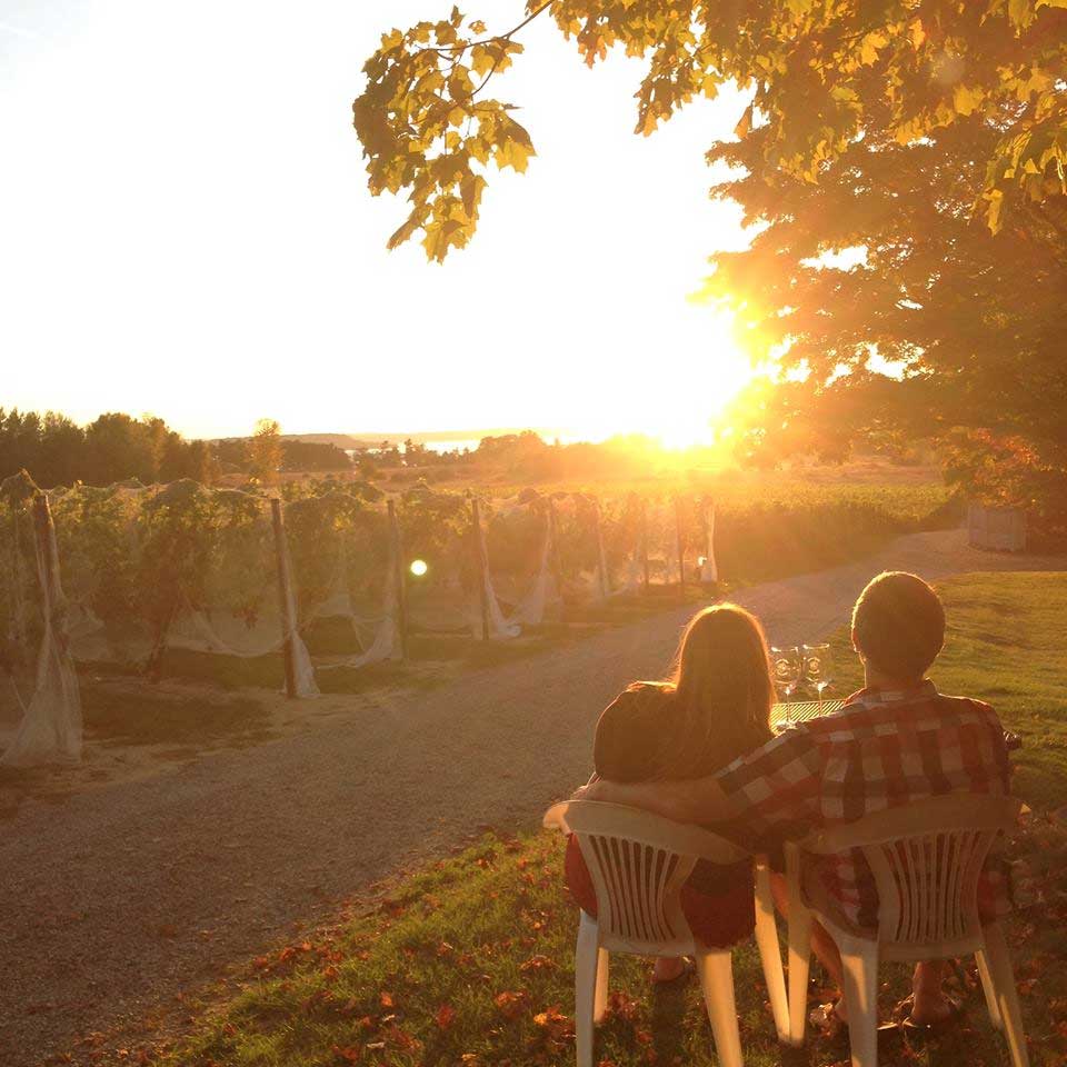 Sunset at Bowers Harbor Vineyards